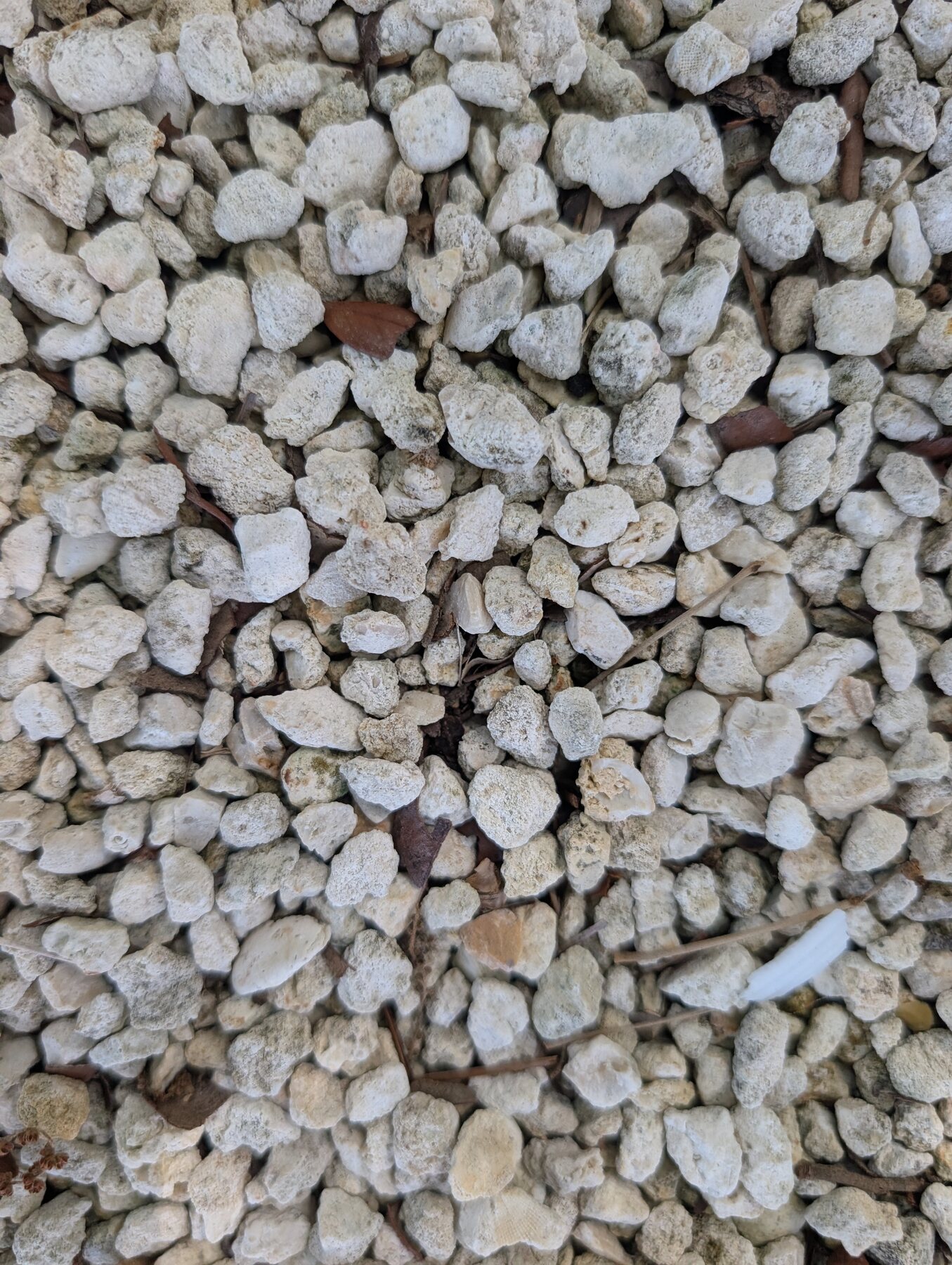 #89 Washed Limestone photo 1